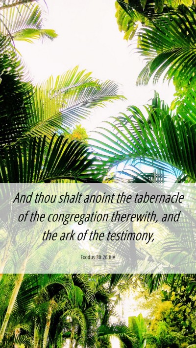 Picture 06 - Exodus 30:26 KJV Mobile Phone Wallpaper - And thou shalt anoint the tabernacle of the - Mobile Bible Verse Wallpaper