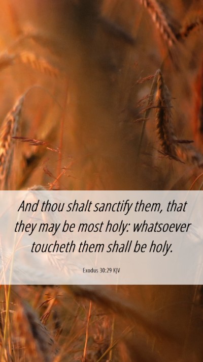 Picture 06 - Exodus 30:29 KJV Mobile Phone Wallpaper - And thou shalt sanctify them, that they may be - Mobile Bible Verse Wallpaper