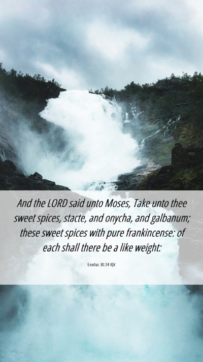 Picture 06 - Exodus 30:34 KJV Mobile Phone Wallpaper - And the LORD said unto Moses, Take unto thee - Mobile Bible Verse Wallpaper