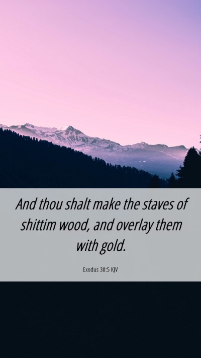 Picture 06 - Exodus 30:5 KJV Mobile Phone Wallpaper - And thou shalt make the staves of shittim wood, - Mobile Bible Verse Wallpaper
