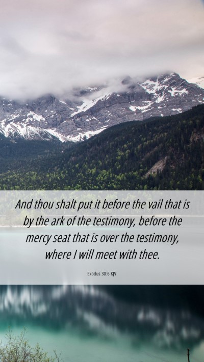 Picture 06 - Exodus 30:6 KJV Mobile Phone Wallpaper - And thou shalt put it before the vail that is by - Mobile Bible Verse Wallpaper