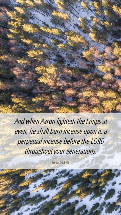 Picture 06 - Exodus 30:8 KJV Mobile Phone Wallpaper - And when Aaron lighteth the lamps at even, he - Mobile Bible Verse Wallpaper
