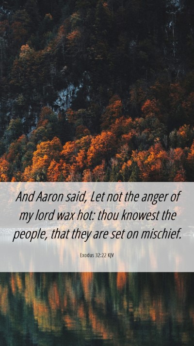 Picture 06 - Exodus 32:22 KJV Mobile Phone Wallpaper - And Aaron said, Let not the anger of my lord wax - Mobile Bible Verse Wallpaper