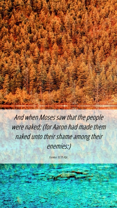 Picture 06 - Exodus 32:25 KJV Mobile Phone Wallpaper - And when Moses saw that the people were naked; - Mobile Bible Verse Wallpaper