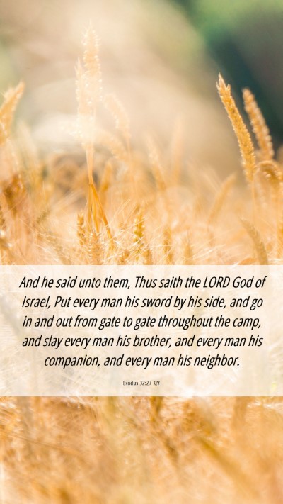 Picture 06 - Exodus 32:27 KJV Mobile Phone Wallpaper - And he said unto them, Thus saith the LORD God of - Mobile Bible Verse Wallpaper