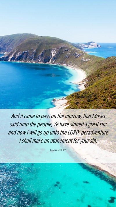 Picture 06 - Exodus 32:30 KJV Mobile Phone Wallpaper - And it came to pass on the morrow, that Moses - Mobile Bible Verse Wallpaper