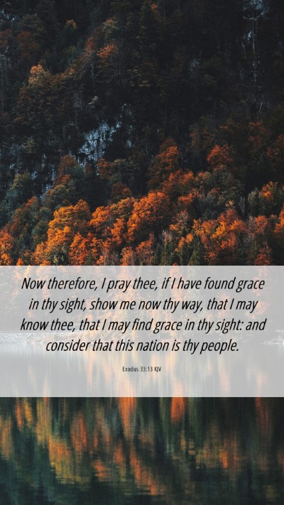 Picture 06 - Exodus 33:13 KJV Mobile Phone Wallpaper - Now therefore, I pray thee, if I have found grace - Mobile Bible Verse Wallpaper