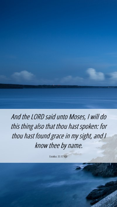 Picture 06 - Exodus 33:17 KJV Mobile Phone Wallpaper - And the LORD said unto Moses, I will do this - Mobile Bible Verse Wallpaper