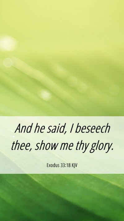 Picture 06 - Exodus 33:18 KJV Mobile Phone Wallpaper - And he said, I beseech thee, show me thy - Mobile Bible Verse Wallpaper