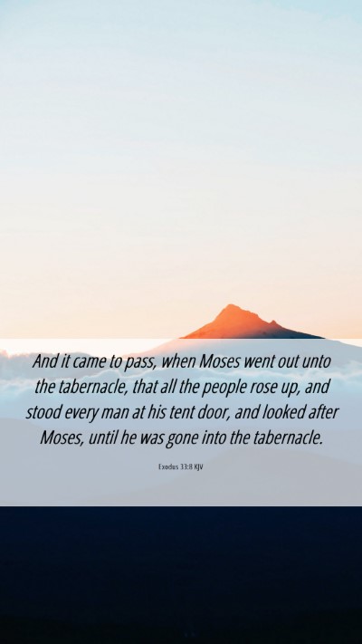 Picture 06 - Exodus 33:8 KJV Mobile Phone Wallpaper - And it came to pass, when Moses went out unto the - Mobile Bible Verse Wallpaper