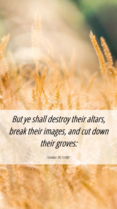 Picture 06 - Exodus 34:13 KJV Mobile Phone Wallpaper - But ye shall destroy their altars, break their - Mobile Bible Verse Wallpaper
