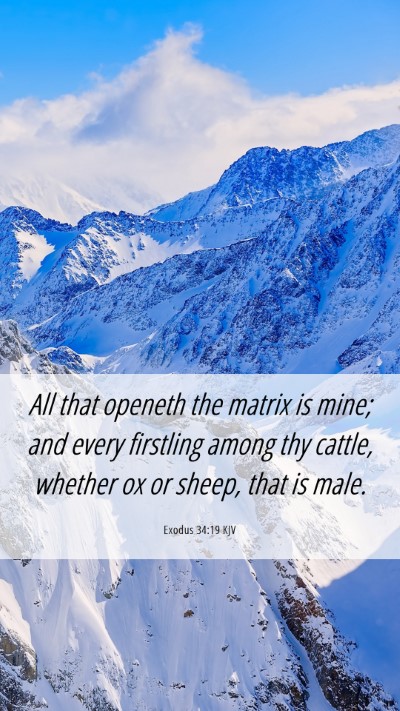 Picture 06 - Exodus 34:19 KJV Mobile Phone Wallpaper - All that openeth the matrix is mine; and every - Mobile Bible Verse Wallpaper