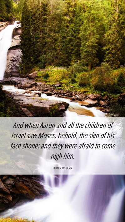 Picture 06 - Exodus 34:30 KJV Mobile Phone Wallpaper - And when Aaron and all the children of Israel saw - Mobile Bible Verse Wallpaper