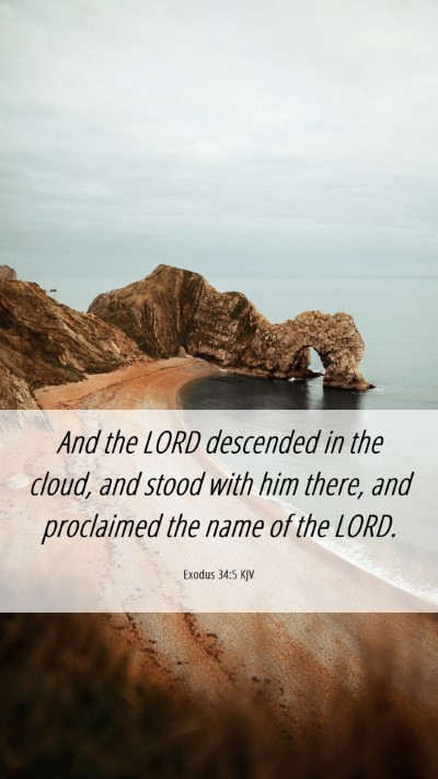 Picture 06 - Exodus 34:5 KJV Mobile Phone Wallpaper - And the LORD descended in the cloud, and stood - Mobile Bible Verse Wallpaper