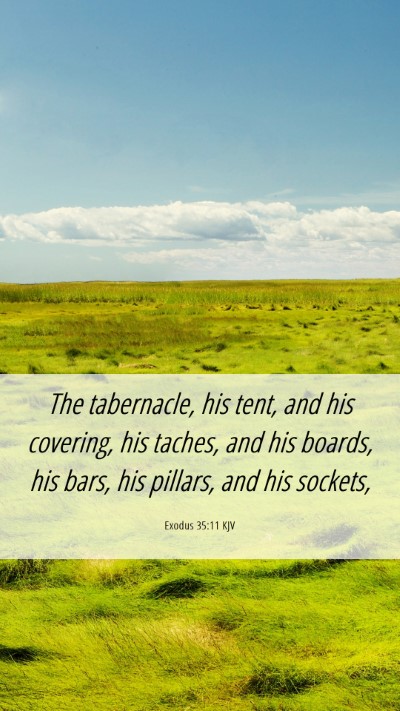Picture 06 - Exodus 35:11 KJV Mobile Phone Wallpaper - The tabernacle, his tent, and his covering, his - Mobile Bible Verse Wallpaper