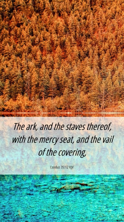 Picture 06 - Exodus 35:12 KJV Mobile Phone Wallpaper - The ark, and the staves thereof, with the mercy - Mobile Bible Verse Wallpaper