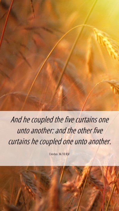 Picture 06 - Exodus 36:10 KJV Mobile Phone Wallpaper - And he coupled the five curtains one unto - Mobile Bible Verse Wallpaper