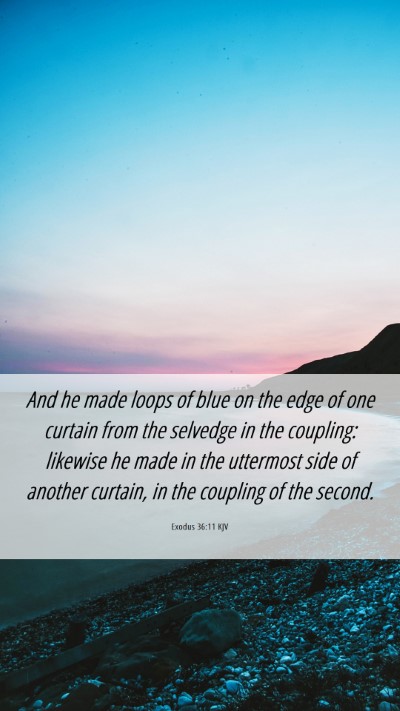 Picture 06 - Exodus 36:11 KJV Mobile Phone Wallpaper - And he made loops of blue on the edge of one - Mobile Bible Verse Wallpaper
