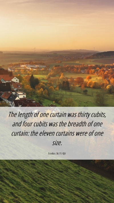Picture 06 - Exodus 36:15 KJV Mobile Phone Wallpaper - The length of one curtain was thirty cubits, and - Mobile Bible Verse Wallpaper