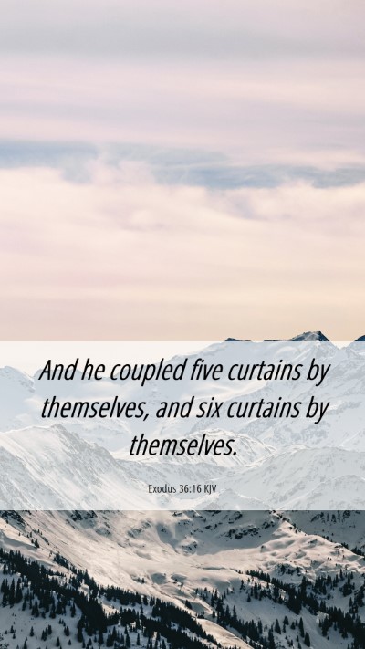 Picture 06 - Exodus 36:16 KJV Mobile Phone Wallpaper - And he coupled five curtains by themselves, and - Mobile Bible Verse Wallpaper