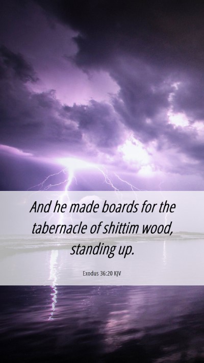 Picture 06 - Exodus 36:20 KJV Mobile Phone Wallpaper - And he made boards for the tabernacle of shittim - Mobile Bible Verse Wallpaper