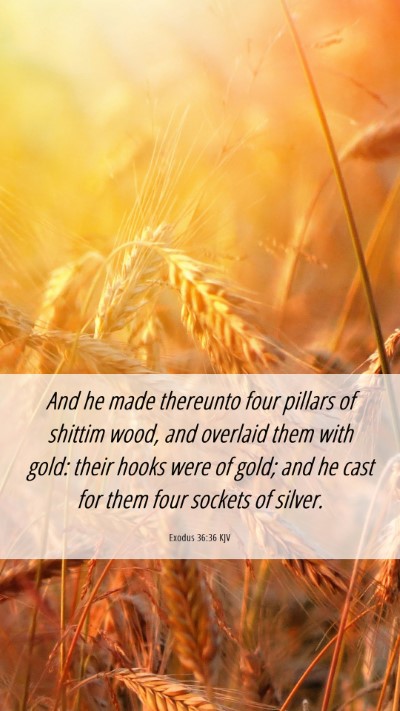 Picture 06 - Exodus 36:36 KJV Mobile Phone Wallpaper - And he made thereunto four pillars of shittim - Mobile Bible Verse Wallpaper
