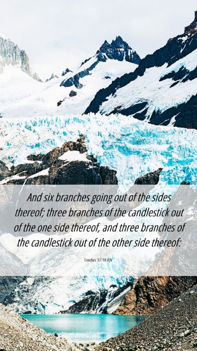 Picture 06 - Exodus 37:18 KJV Mobile Phone Wallpaper - And six branches going out of the sides thereof; - Mobile Bible Verse Wallpaper