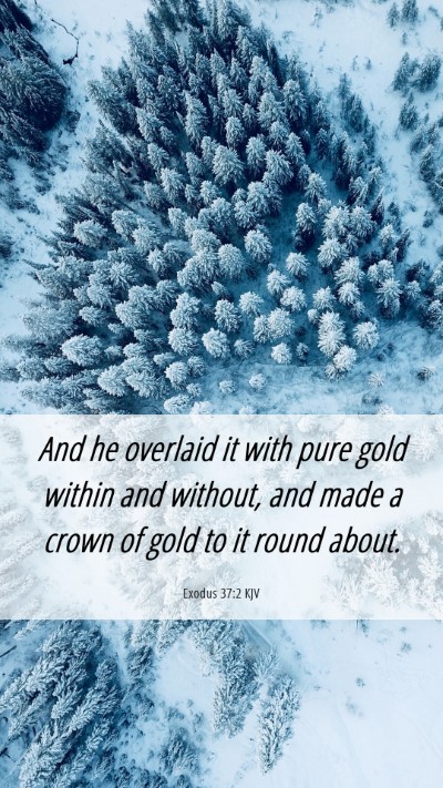Picture 06 - Exodus 37:2 KJV Mobile Phone Wallpaper - And he overlaid it with pure gold within and - Mobile Bible Verse Wallpaper
