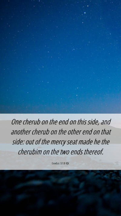 Picture 06 - Exodus 37:8 KJV Mobile Phone Wallpaper - One cherub on the end on this side, and another - Mobile Bible Verse Wallpaper