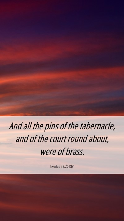 Picture 06 - Exodus 38:20 KJV Mobile Phone Wallpaper - And all the pins of the tabernacle, and of the - Mobile Bible Verse Wallpaper