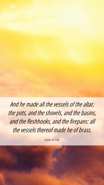 Picture 06 - Exodus 38:3 KJV Mobile Phone Wallpaper - And he made all the vessels of the altar, the - Mobile Bible Verse Wallpaper