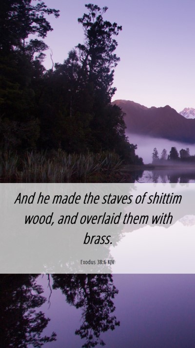 Picture 06 - Exodus 38:6 KJV Mobile Phone Wallpaper - And he made the staves of shittim wood, and - Mobile Bible Verse Wallpaper