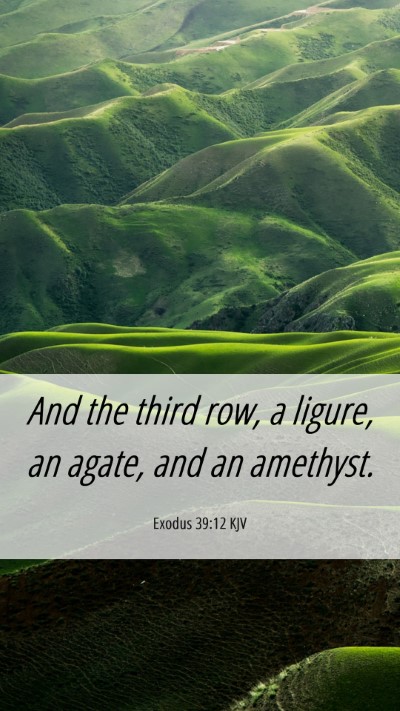 Picture 06 - Exodus 39:12 KJV Mobile Phone Wallpaper - And the third row, a ligure, an agate, and an - Mobile Bible Verse Wallpaper