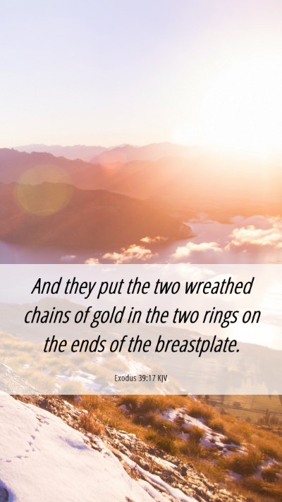 Picture 06 - Exodus 39:17 KJV Mobile Phone Wallpaper - And they put the two wreathed chains of gold in - Mobile Bible Verse Wallpaper