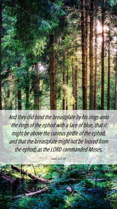 Picture 06 - Exodus 39:21 KJV Mobile Phone Wallpaper - And they did bind the breastplate by his rings - Mobile Bible Verse Wallpaper