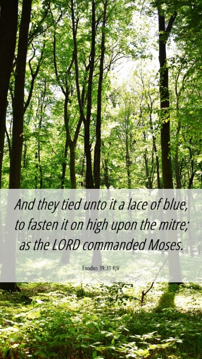 Picture 06 - Exodus 39:31 KJV Mobile Phone Wallpaper - And they tied unto it a lace of blue, to fasten - Mobile Bible Verse Wallpaper