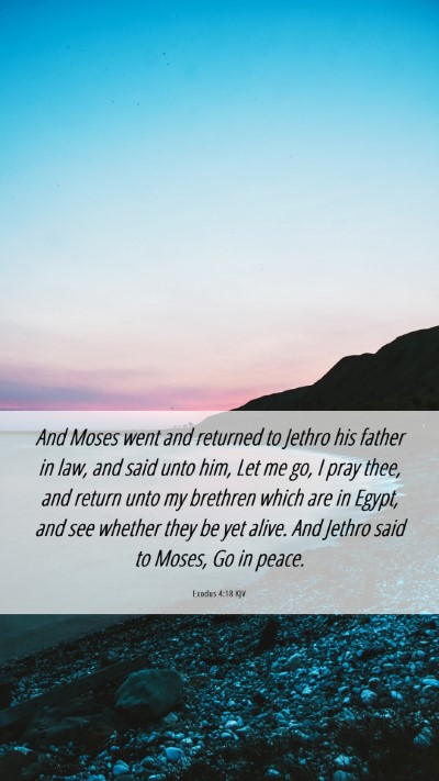 Picture 06 - Exodus 4:18 KJV Mobile Phone Wallpaper - And Moses went and returned to Jethro his father - Mobile Bible Verse Wallpaper