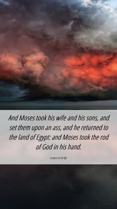 Picture 06 - Exodus 4:20 KJV Mobile Phone Wallpaper - And Moses took his wife and his sons, and set - Mobile Bible Verse Wallpaper