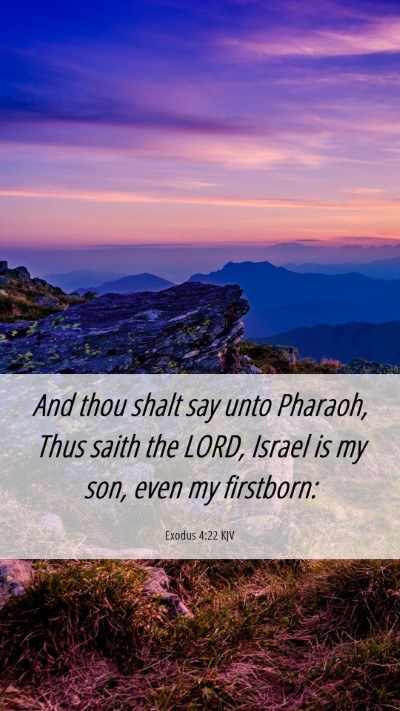 Picture 06 - Exodus 4:22 KJV Mobile Phone Wallpaper - And thou shalt say unto Pharaoh, Thus saith the - Mobile Bible Verse Wallpaper