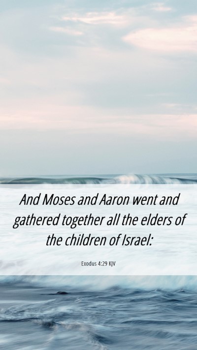 Picture 06 - Exodus 4:29 KJV Mobile Phone Wallpaper - And Moses and Aaron went and gathered together - Mobile Bible Verse Wallpaper