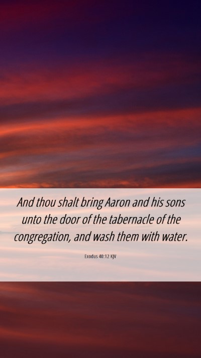 Picture 06 - Exodus 40:12 KJV Mobile Phone Wallpaper - And thou shalt bring Aaron and his sons unto the - Mobile Bible Verse Wallpaper