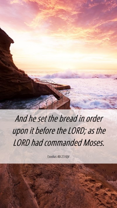 Picture 06 - Exodus 40:23 KJV Mobile Phone Wallpaper - And he set the bread in order upon it before the - Mobile Bible Verse Wallpaper