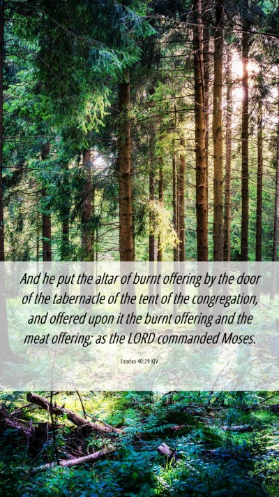 Picture 06 - Exodus 40:29 KJV Mobile Phone Wallpaper - And he put the altar of burnt offering by the - Mobile Bible Verse Wallpaper