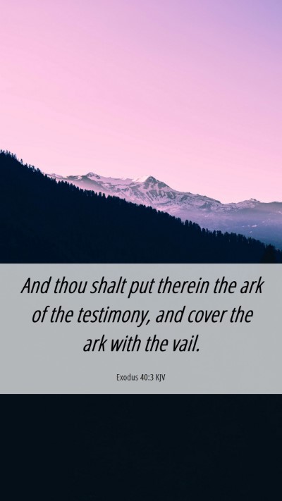 Picture 06 - Exodus 40:3 KJV Mobile Phone Wallpaper - And thou shalt put therein the ark of the - Mobile Bible Verse Wallpaper