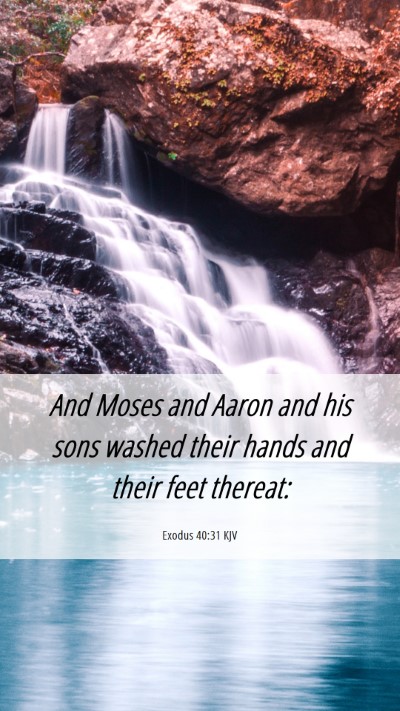 Picture 06 - Exodus 40:31 KJV Mobile Phone Wallpaper - And Moses and Aaron and his sons washed their - Mobile Bible Verse Wallpaper
