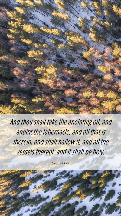Picture 06 - Exodus 40:9 KJV Mobile Phone Wallpaper - And thou shalt take the anointing oil, and anoint - Mobile Bible Verse Wallpaper