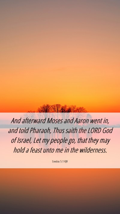 Picture 06 - Exodus 5:1 KJV Mobile Phone Wallpaper - And afterward Moses and Aaron went in, and told - Mobile Bible Verse Wallpaper