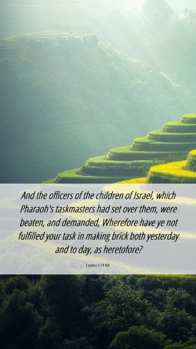 Picture 06 - Exodus 5:14 KJV Mobile Phone Wallpaper - And the officers of the children of Israel, which - Mobile Bible Verse Wallpaper