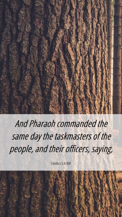 Picture 06 - Exodus 5:6 KJV Mobile Phone Wallpaper - And Pharaoh commanded the same day the - Mobile Bible Verse Wallpaper