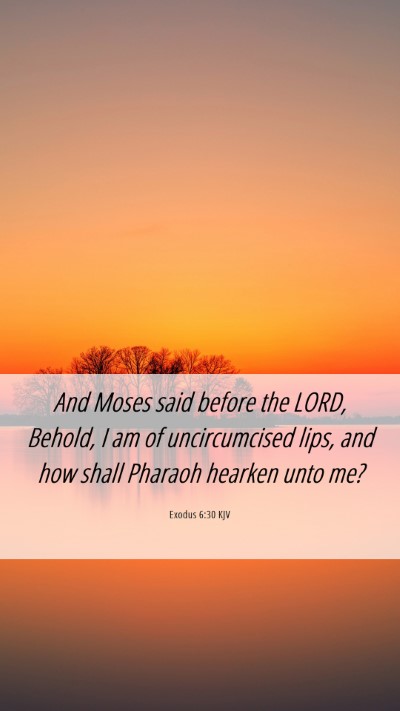 Picture 06 - Exodus 6:30 KJV Mobile Phone Wallpaper - And Moses said before the LORD, Behold, I am of - Mobile Bible Verse Wallpaper
